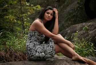 Totall All Bollywood Hollywood Actress HD Wallpaper