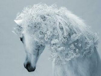 Original Wallpaper Winter Horse