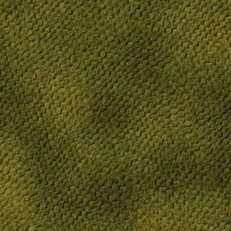 Skin Reptile Lizard Snakes Frog Snake Background