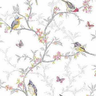 Home White Phoebe Birds Trees Blossom Butterflies
