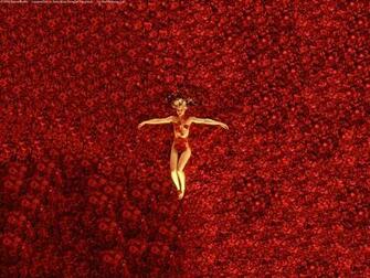 American Beauty Wallpaper 5c1lse8 4usky