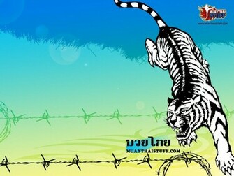 Muay Thai Wallpaper