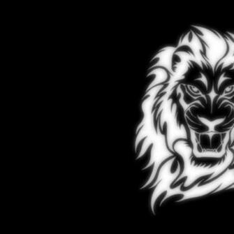 Glowing Lion Art Black Cg Computer Light White