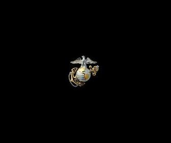 High Definition Wallpaper Photo Usmc Html