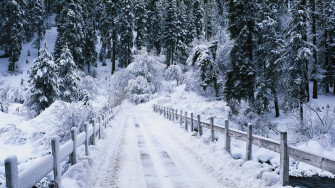 Snow Aesthetic Wallpaper