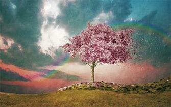 Spring Garden