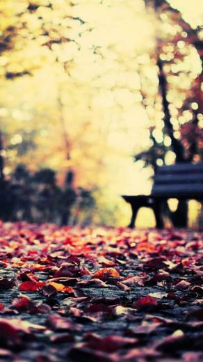 Autumn Leaves Park Bench iPhone Wallpaper Ipod HD