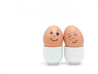 Egg Wallpaper X Net