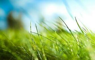 Mobile Screensavers And Wallpaper Macro Android