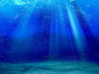 My Deep Blue Sea Segoro Werni