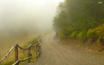 Foggy Path Fences Forest Wallpaper