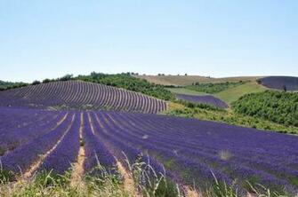 Provence Wallpaper Image Pictures Findpik