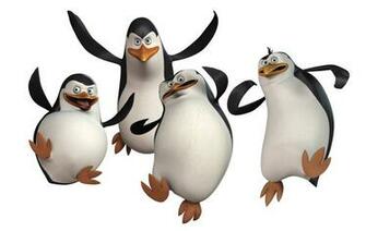 Penguins Of Madagascar Wallpaper And Background Image Net