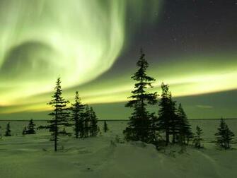 In Winter Churchill Manitoba Canada HD Walls Find Wallpaper