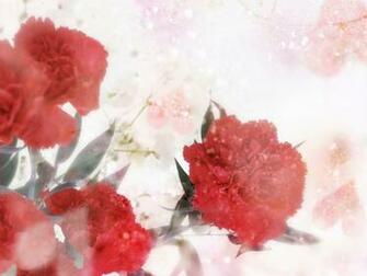 Related Wallpaper Flowers Flower Art Red Carnation Car
