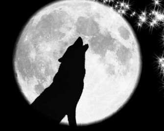 Howling Wolf Wallpaper