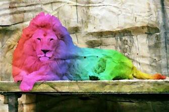 Rare Lion Rainbow By Aandiwarhol