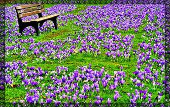 Spring Pictures For Desktop Best Cars Res