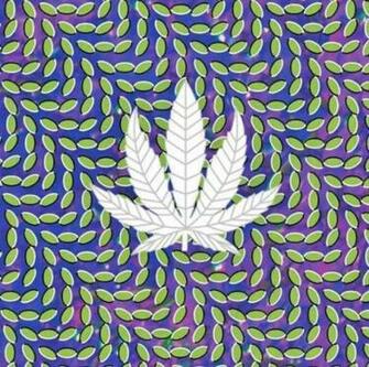 Trippy Marijuana Leaf Pictures Photos And Image For