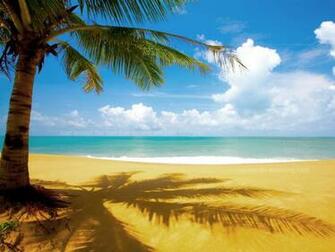 Beautiful Beach Scene Offensive