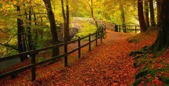 High Definition Wallpaper Info Photo Desktop