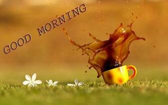 Lovely And Beautiful Good Morning Wallpaper Allfreshwallpaper