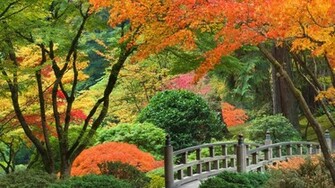 Japanese Garden Wallpaper
