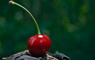Wallpaper Desktop Cherry Food