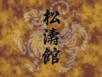 Shotokan Karate Do iPad Wallpaper Background All