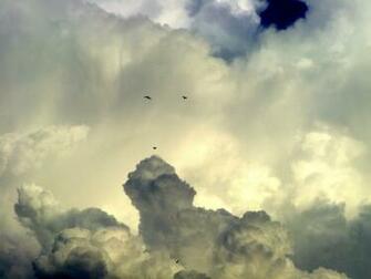 Birds Clouds Sky Of Hope Nature HD Desktop Wallpaper