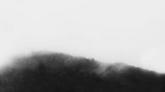Black Trees White Forest Beautiful Wallpaper