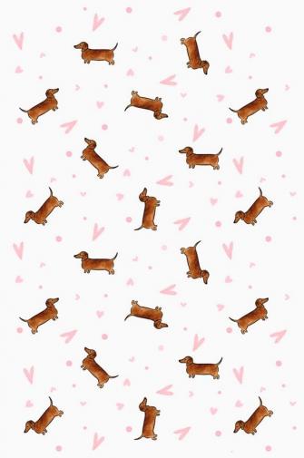 Dachshund Clube Wallpaper Dog