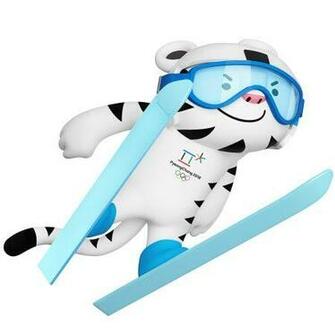 Best Pyeongchang Olympic Winter Games Image On