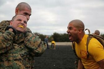 Marine Martial Arts Firuse Rsd7 Org