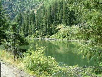 River Forest Washington State Wallpaper