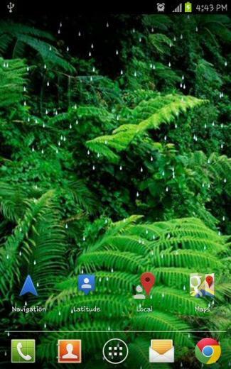 Rain Forest HD Live Wallpaper Android Apps On Google Play