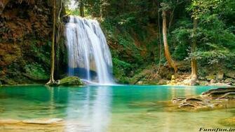 Full HD Nature Wallpaper For Pc Funny Pictures Jokes Cute Love