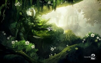Guild Wars HD Official Wallpaper Mmorpg News Mmosite