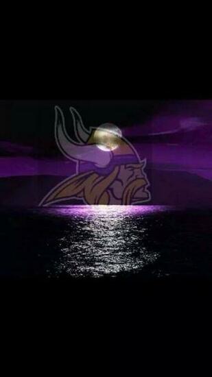 The Best Minnesota Vikings Ideas