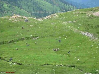 Srinagar Kashmir Beautiful Amarnath Yatra