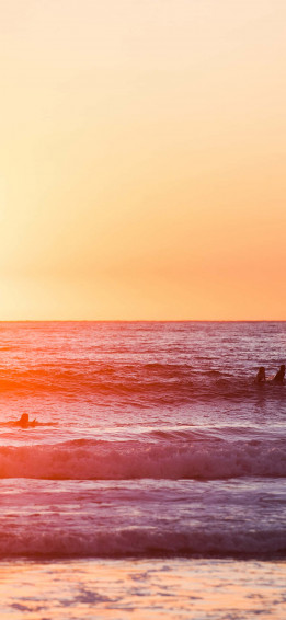 California Summer Wallpaper