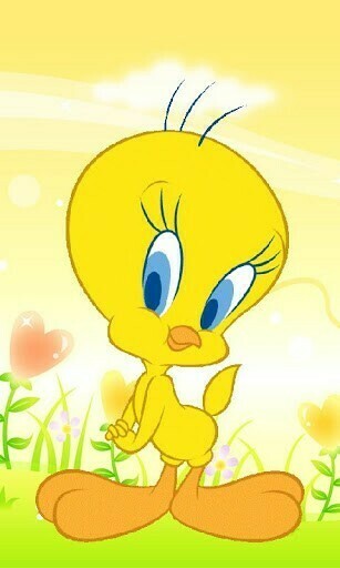 Android Wallpaper Tweety Bird Html