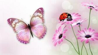 Lady Bug Wallpaper Background Image Creatives