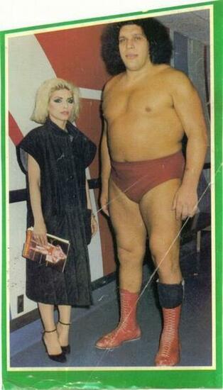 The Giant Man Andre Legendary In Wwe