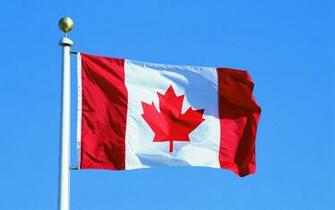Team Canada Hockey Gold Medalist In Sochi Wallpaper And Image