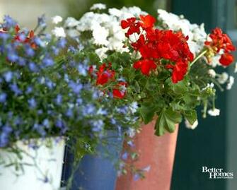 Patriotic Pretties Picture Perfect Wallpaper