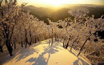 HD Sunny Winter Day Wallpaper