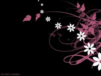 Alfa Img Showing Black And Pink Wallpaper For Desktop