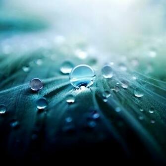 Today S New iPad Wallpaper HD