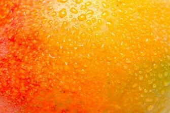 Gallery For Mango Wallpaper